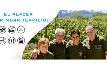 Viñas del Nant y Fall